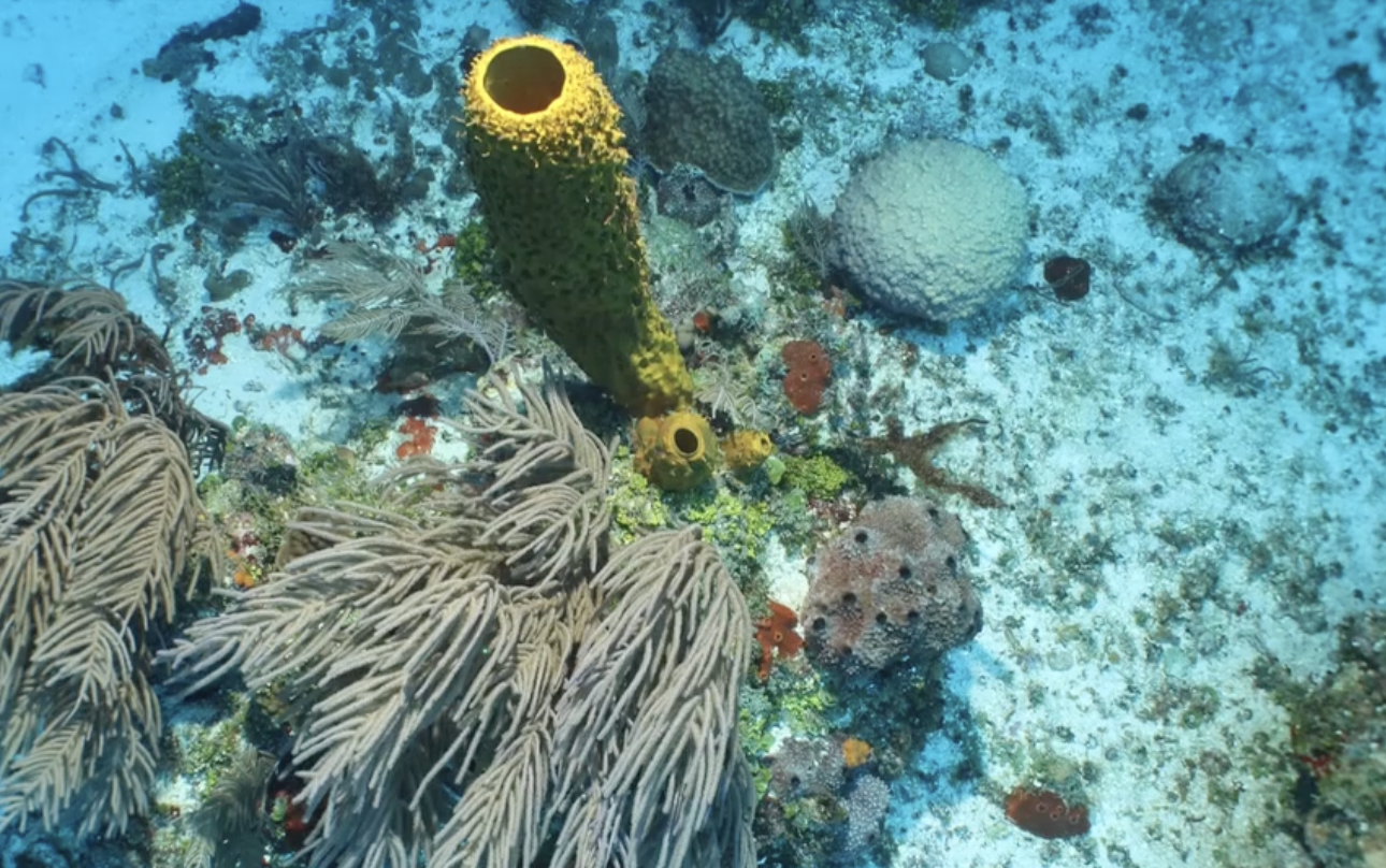 Scherm­afbeelding 2026-03-09 om 21.27.17